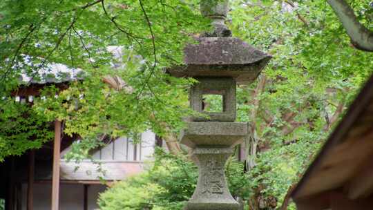 绿意盎然的寺庙 佛寺 日本神社