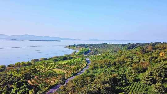 苏州明媚天气江边风景航拍