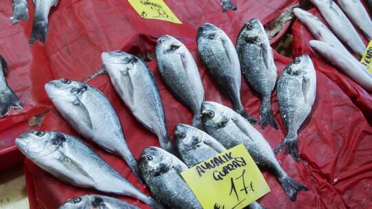 市场上鱼的价格标签