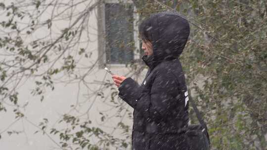 威海高区火炬八街冬季初雪游客赏雪打卡街景