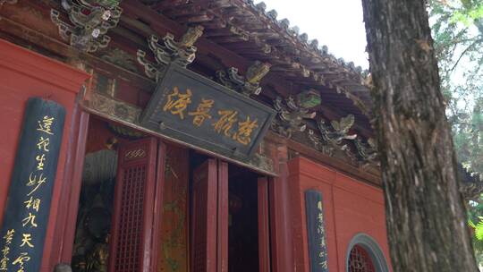 洛阳白马寺国际佛殿泰国寺庙古建筑光影