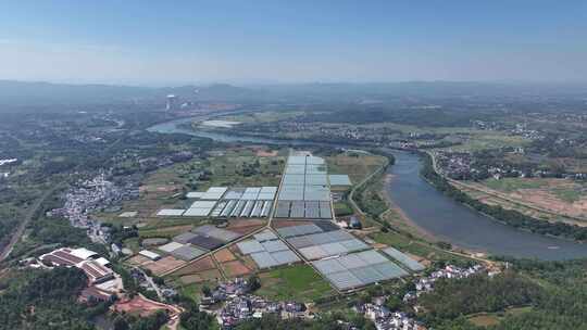 湾区菜园信丰县大塘埠镇万星基地