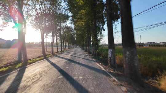 开车经过乡村道路夕阳光