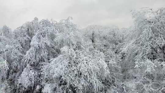 西岭雪山 雪景 大雪覆盖的自然风光 航拍