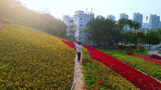 海南三亚城市公园春节阳光花海美女白鹭公园