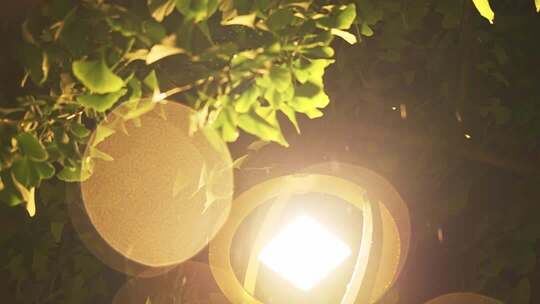 4K夜幕下的路灯灯光光圈