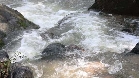 森林中 山泉小溪水