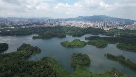 深圳龙华茜坑水库