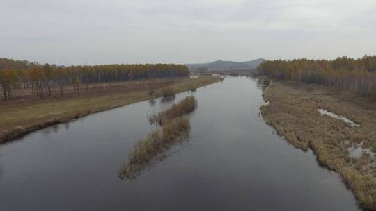 黑水兴安松岭南瓮河湿地航拍