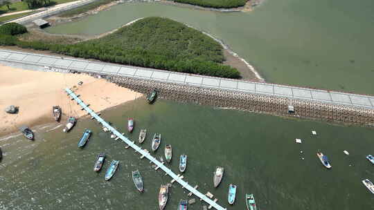 夏日阳光下航拍海边红树林和高层住宅