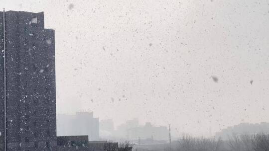 【镜头合集】冬季里的城市灰色下雪