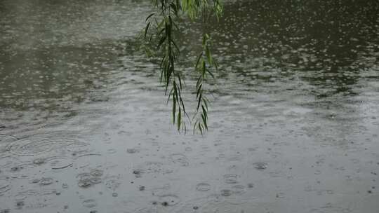 雨水滴落在水面的波纹慢镜头