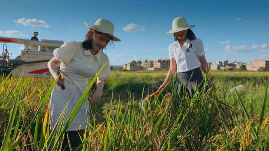 乡村振兴返乡大学生学习收割水稻