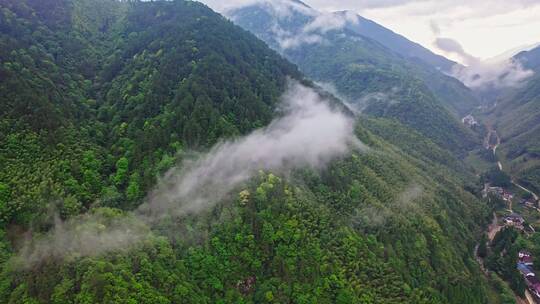 大山山脉峡谷前进到云雾蒸气里