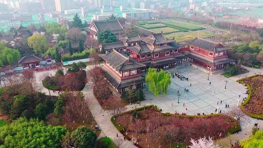 航拍西安青龙寺