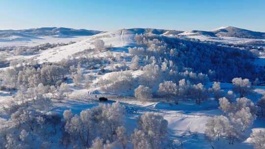 冬季乌兰布统绝美雾凇雪林雪景