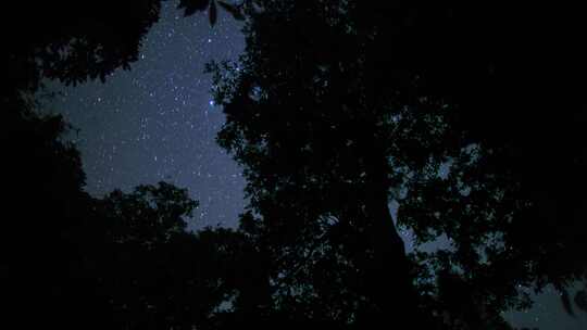 森林夜空银河宇宙延时星云太阳系