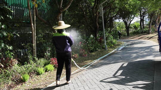 工人戴草帽户外给绿植浇水