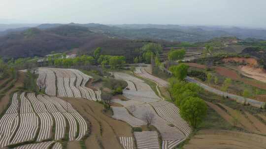 宝鸡梯田  汉封梯田