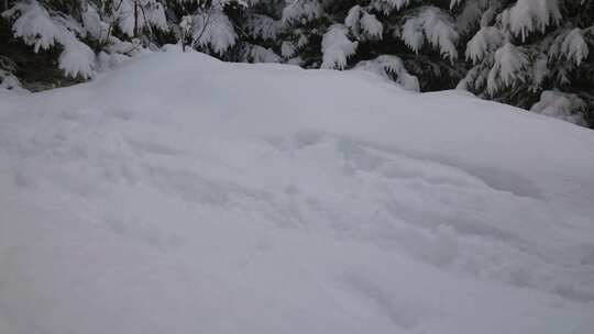 雪，步行，单板滑雪，下雪