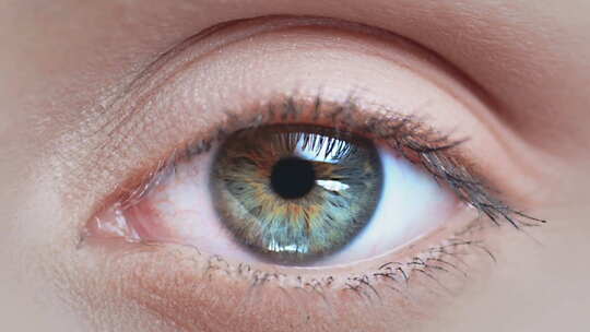 人眼微距特写素材