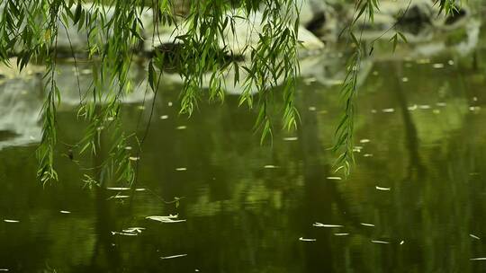 青山绿水池塘