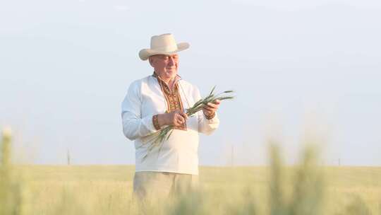 在麦田中央，一个穿着刺绣夹克的农民正捧着