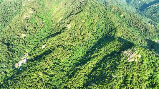 航拍辽宁千山绿色山林植被