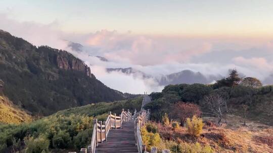 旅游景区，浓墨翠绿惹了相思，治愈系风景