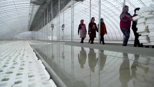 寿光大棚 蔬菜大棚 大棚建设