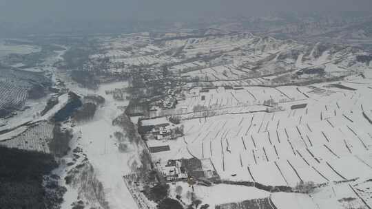 青海互助龙王山雪山树木航拍视频