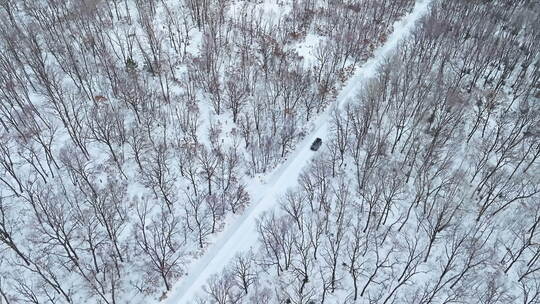 【合集】坦克300雪地行驶