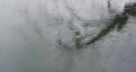 雨天湖面雨滴树影空镜