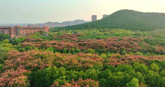 山东建筑大学航拍