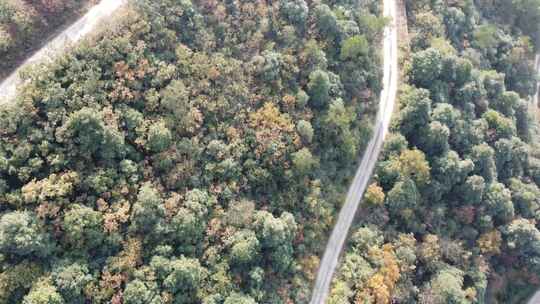 丰山盘山公路