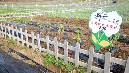 劳动空镜刨土锄地农场工人耕作劳作翻土