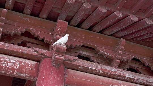 传统木佛塔古建