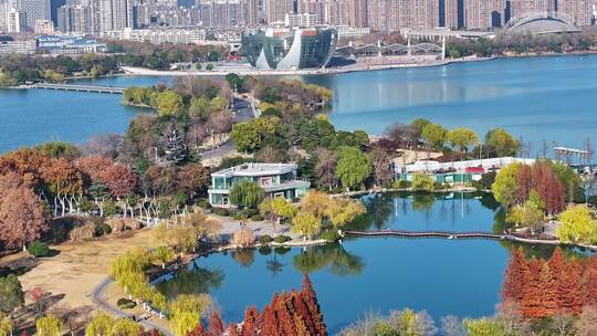 航拍深秋初冬徐州云龙湖风景区,红色水杉