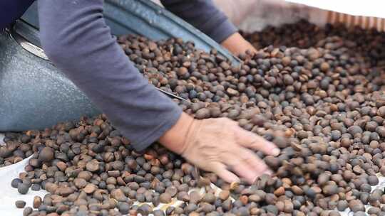 慢镜头实拍古法榨油百年油坊茶油茶籽油加工