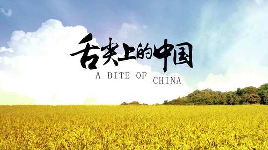 舌尖上的中国水墨片头落版AE模板AE视频素材教程下载