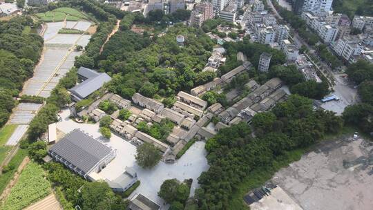 观澜版画村 深圳市龙华区观澜街道