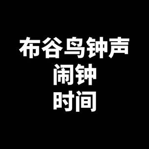 音乐播放