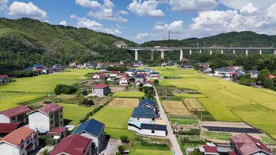 秋收美丽乡村田园金黄稻田农业种植航拍