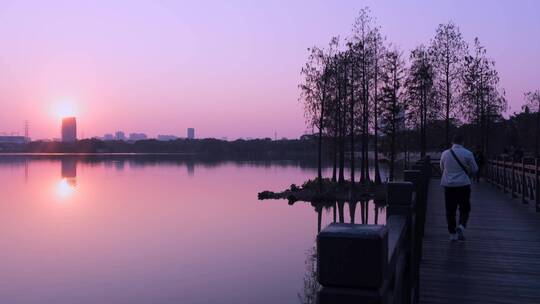 广州海珠湖公园落日夕阳自然风光视频素材模板下载