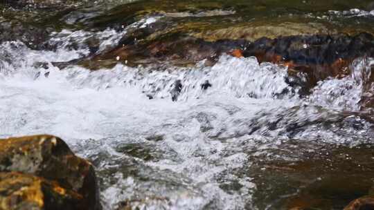 自然小溪流水山泉水花急流