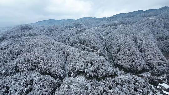 fpv穿越机航拍森林雾凇雪景溪流自然树林