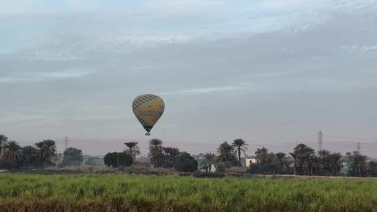 埃及 卢克索 热气球 唯美 田野