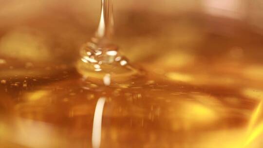 【镜头合集】蜂蜜甜蜜杨树花蜜槐花蜜