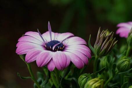 大明湖 悠扬 浪漫 飘逸 钢琴独奏 华