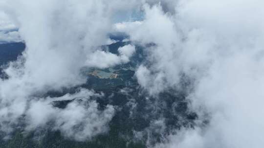 海南乐东县尖峰岭国家森林公园热带雨林